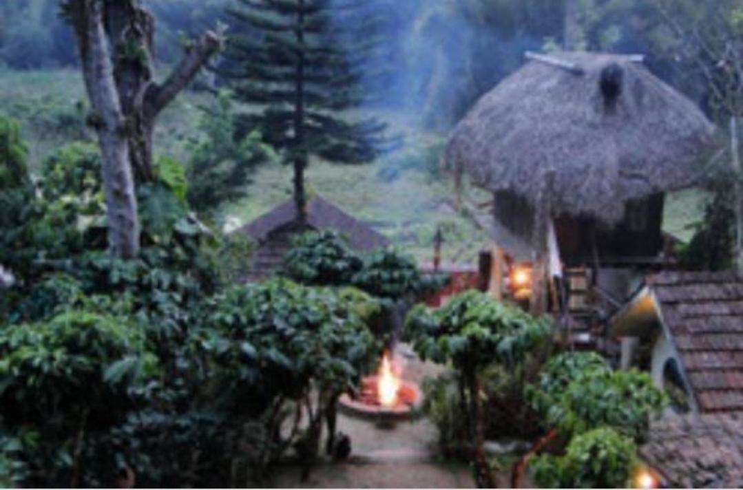Coffee Inn Thekkady Exteriér fotografie